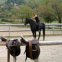 at the stables